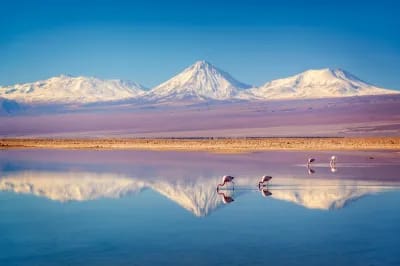 Best of Chile
